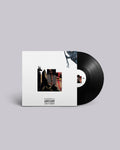Burial Plots & Pyramid Schemes 12" Vinyl Record [Black]