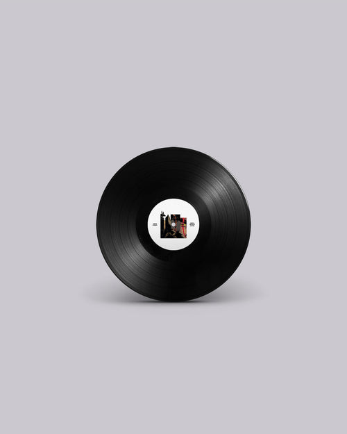 Burial Plots & Pyramid Schemes 12" Vinyl Record [Black]